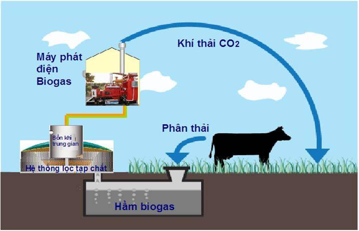 khí biogas