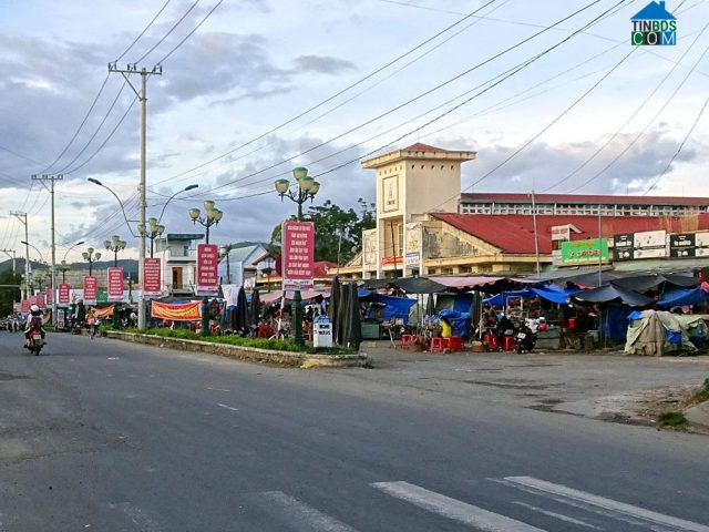 cung-ung-lao-dong (5)