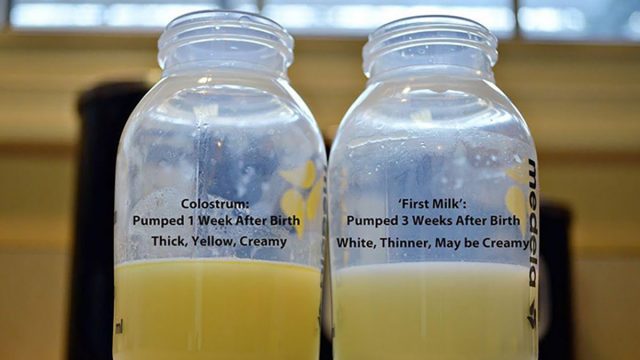 sữa non cho trẻ sơ sinh