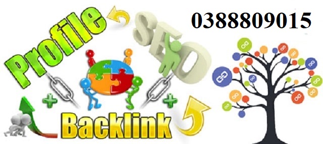 Dịch vụ backlink profile social entity seo top #1 2022 giá 4tr