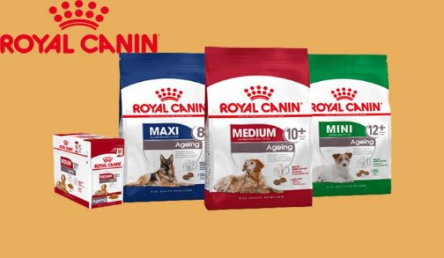 Thức ăn cho chó royal canin