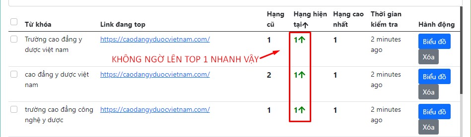 Dịch vụ entity - backlink profile seo top nhanh chóng hiệu quả