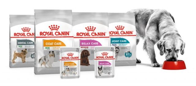 thức ăn cho chó Royal Canin