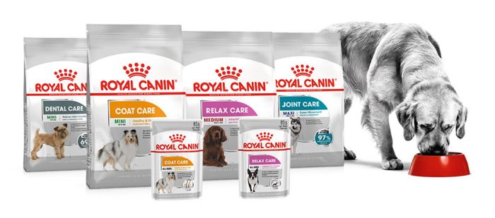 thức ăn cho chó Royal Canin