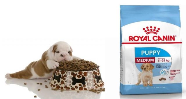 Thức ăn cho chó Royal Canin Puppy