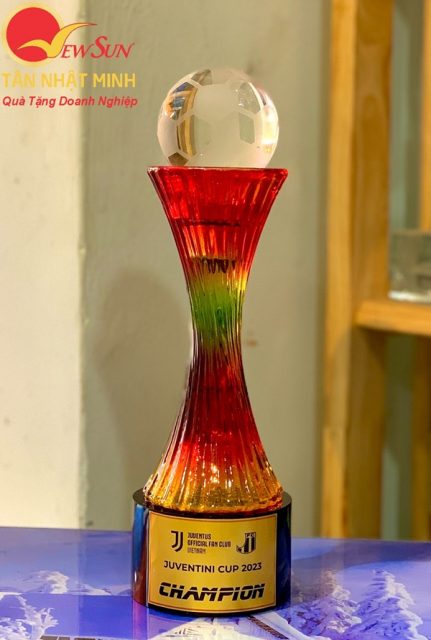 cup vinh danh hcm - bóng đá