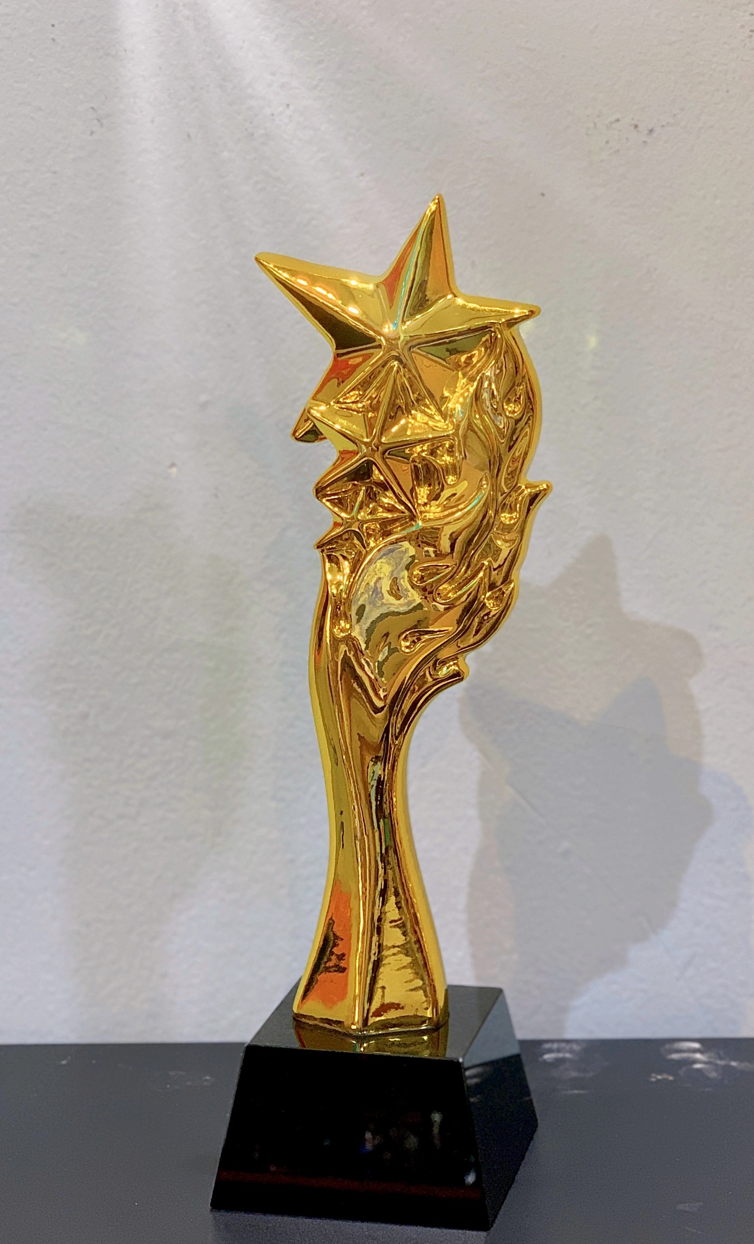mẫu cúp vinh danh