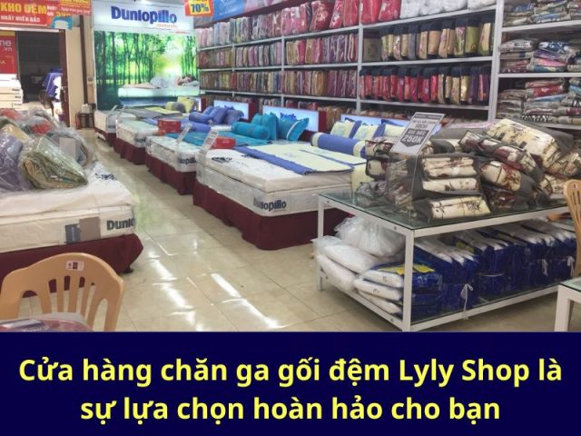 Cửa hàng chăn ga gối đệm Lyly Shop là sự lựa chọn hoàn hảo cho bạn