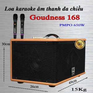 Loa karaoke xách tay công suất lớn