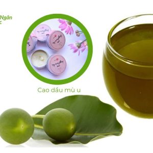 dầu mù u có tác dụng gì