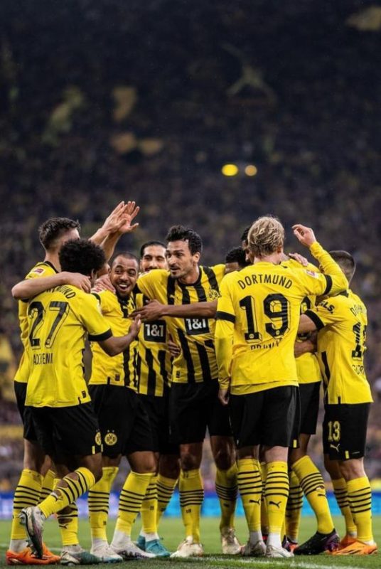 Vải thun may áo dortmund