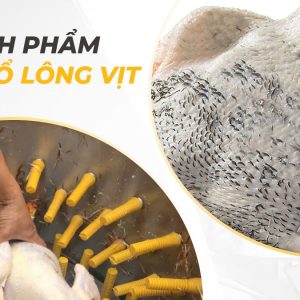 Thành phẩm máy vặt lông gà vịt