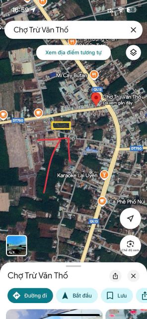 ĐẤT BÀU BÀNG. SỔ SẲN