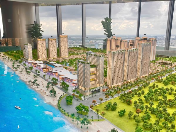 Tổng quan dự án